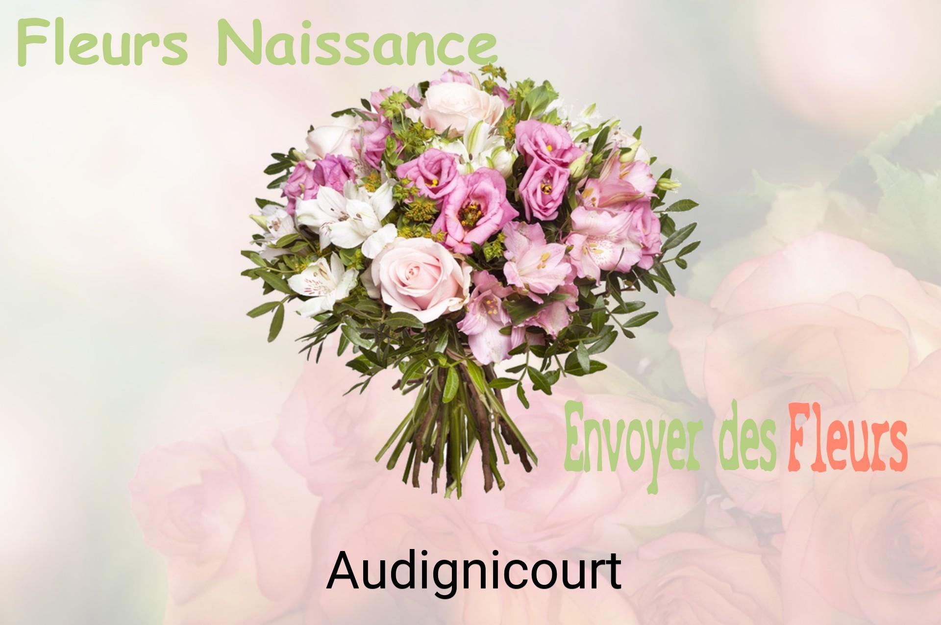 Bouquet de fleurs de naissance livré à Audignicourt