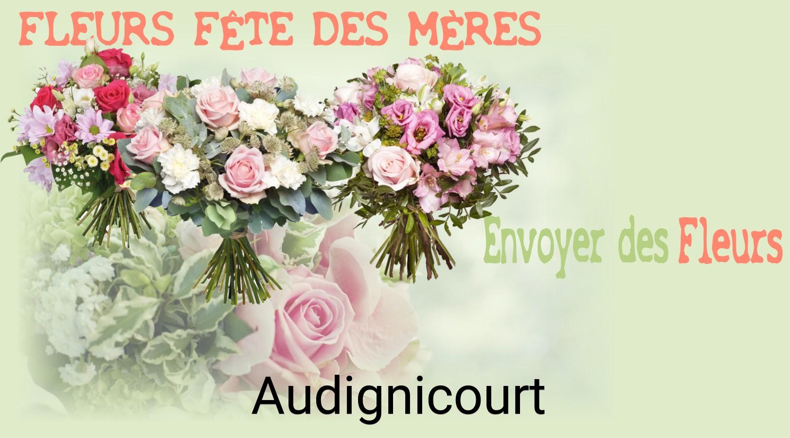 Bouquet de Fête des Mères livré à Audignicourt
