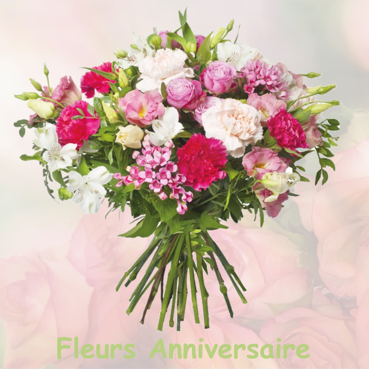fleurs anniversaire AUDIGNICOURT
